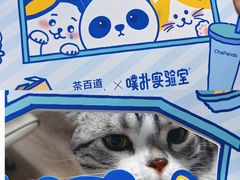 -茶百道(传媒大学店)