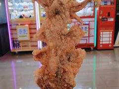 -大连圣亚海洋世界