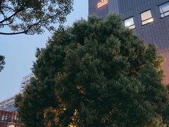 -上海当代艺术博物馆