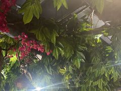 -草原塞蛮羊火锅城(港湾店)