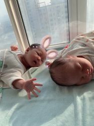 -喜月来月子会所