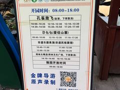 -西双版纳原始森林公园