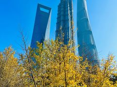 -陆家嘴中心绿地