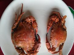-张会海鲜饭店(东戴河店)