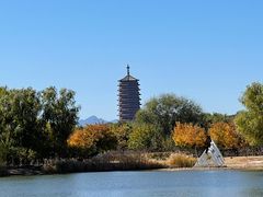 -永定河休闲森林公园