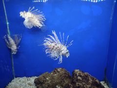 -常州海昌海洋探索馆