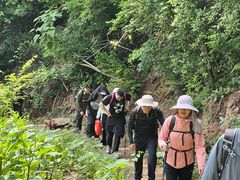 -素山寺森林公园