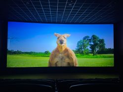 -Oasis Beauty水磨坊科技美肤中心