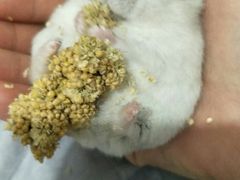 -万达广场(南京江宁店)