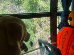 -安吉龙王山峡谷漂流