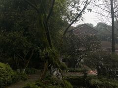 -南山植物园