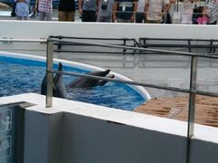 -西海国立公园九十九岛水族馆