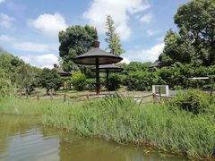 -梁鸿国家湿地公园