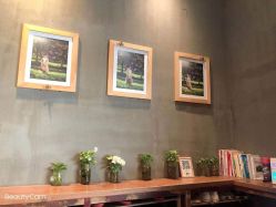 -iplus爱家高端孕妇摄影