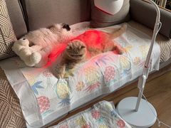 -美联众合动物医院·24h转诊中心