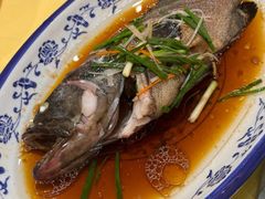 -山明水秀大饭店