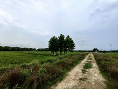 -祝甸砖窑文化馆