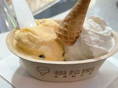 芒果百香果冰淇淋-极拉图·现制冰淇淋(大卫城店)