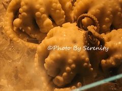 白灼章鱼-铭聚章鱼土笋冻(松柏店)