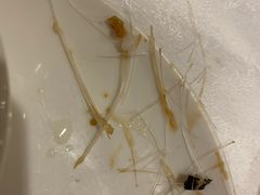 -知味观(湖滨总店)