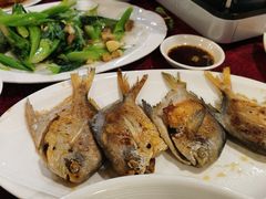 香煎马鲛鱼-金苑海鲜酒家(新港中路店)