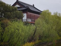 -南汇桃花村