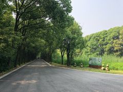 -同里国家湿地公园