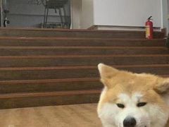 -YCHL Studios健身工作室(市二宫店)