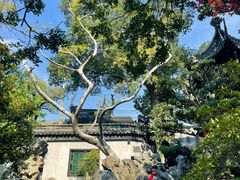 -豫园