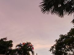 -珠海横琴长隆《卡卡虎奇遇记》