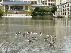 -龙熙维景国际会议中心