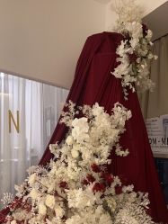 -ST时柒·问题肌抗衰美颜所