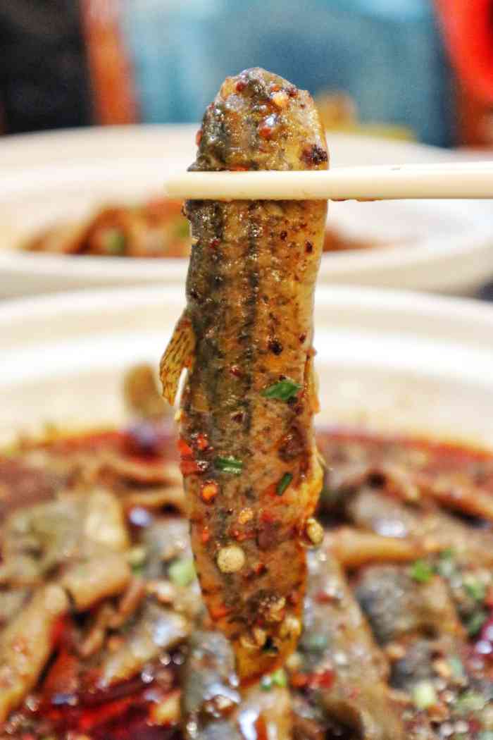情妹耙泥鳅-"每次请朋友都来这里,味道没得说,价格也很.