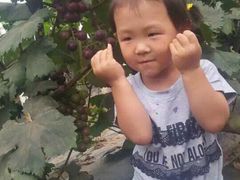 iphone_upload_pic-欢乐农家采摘园