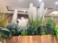 -红菜坊·烤鸭·川鲁宴(石园店)