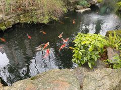 -香然会·园林雅宴(陆家嘴店)