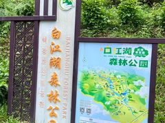 -广州白江湖森林公园