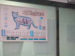 -半岛宠物医院24小时(科华中路店)