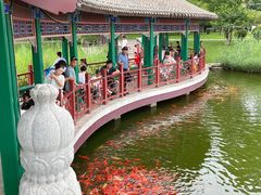 -西海子公园