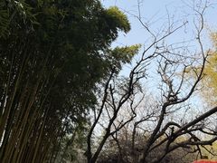 -竹泉村旅游度假区