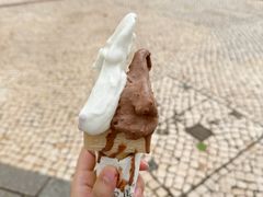 -柠檬车露(卖草地店)