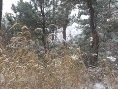 -山顶餐厅·山居菜
