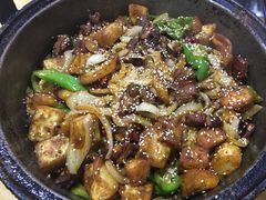 羊肉炕锅-老钟家烤羊排·敦伊阁清真餐厅胡羊焖饼