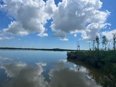 -盐城丹顶鹤湿地生态旅游区