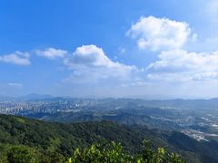 -阳台山森林公园