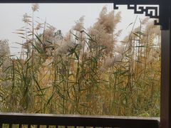 -水西公园