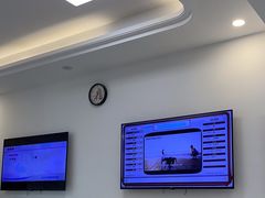 -北京观赏动物医院·24小时大型综合·猫专科·异宠专科