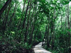 -白草畔自然风景区