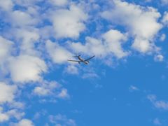 -奔驰上海利星(七宝店)