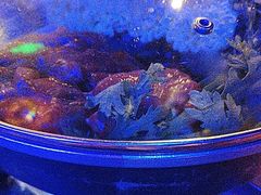 -花腰餐吧Bistro烧烤 傣味(传媒大学店)